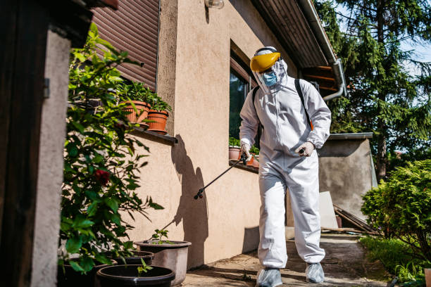 Best Best Pest Control Companies  in Mckenzie, TN