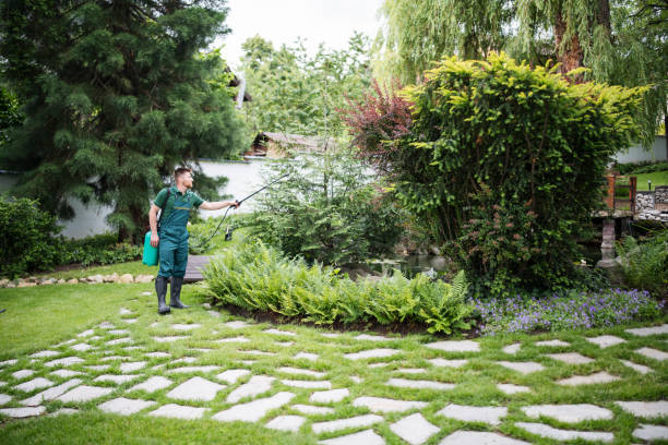 Best Pest Inspection Near Me  in Mckenzie, TN