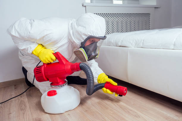 Best Wasp Removal Services  in Mckenzie, TN