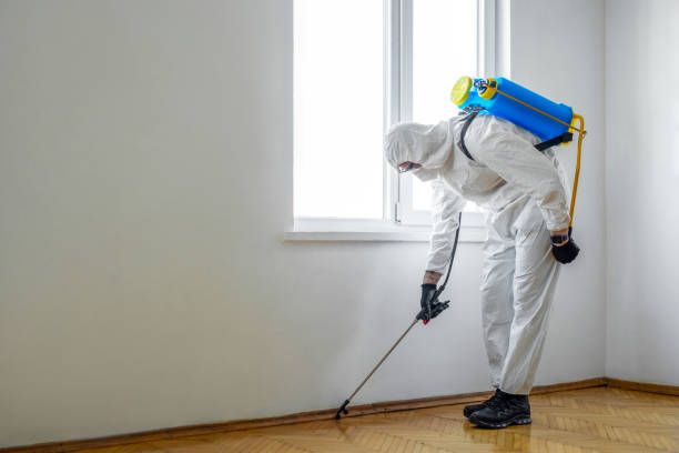 Best Rat Extermination Near Me  in Mckenzie, TN
