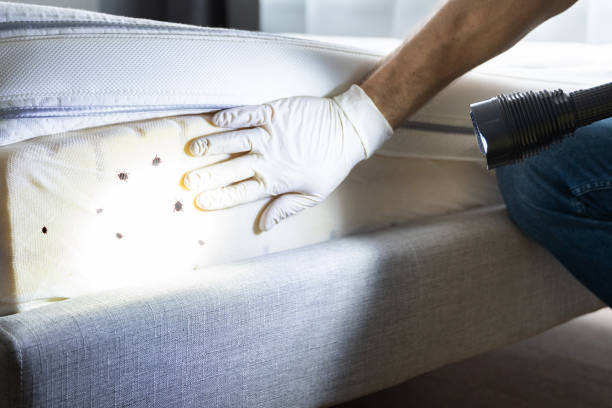 Best Pest Control for Businesses  in Mckenzie, TN
