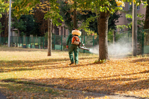 Pest Control for Restaurants in Mckenzie, TN
